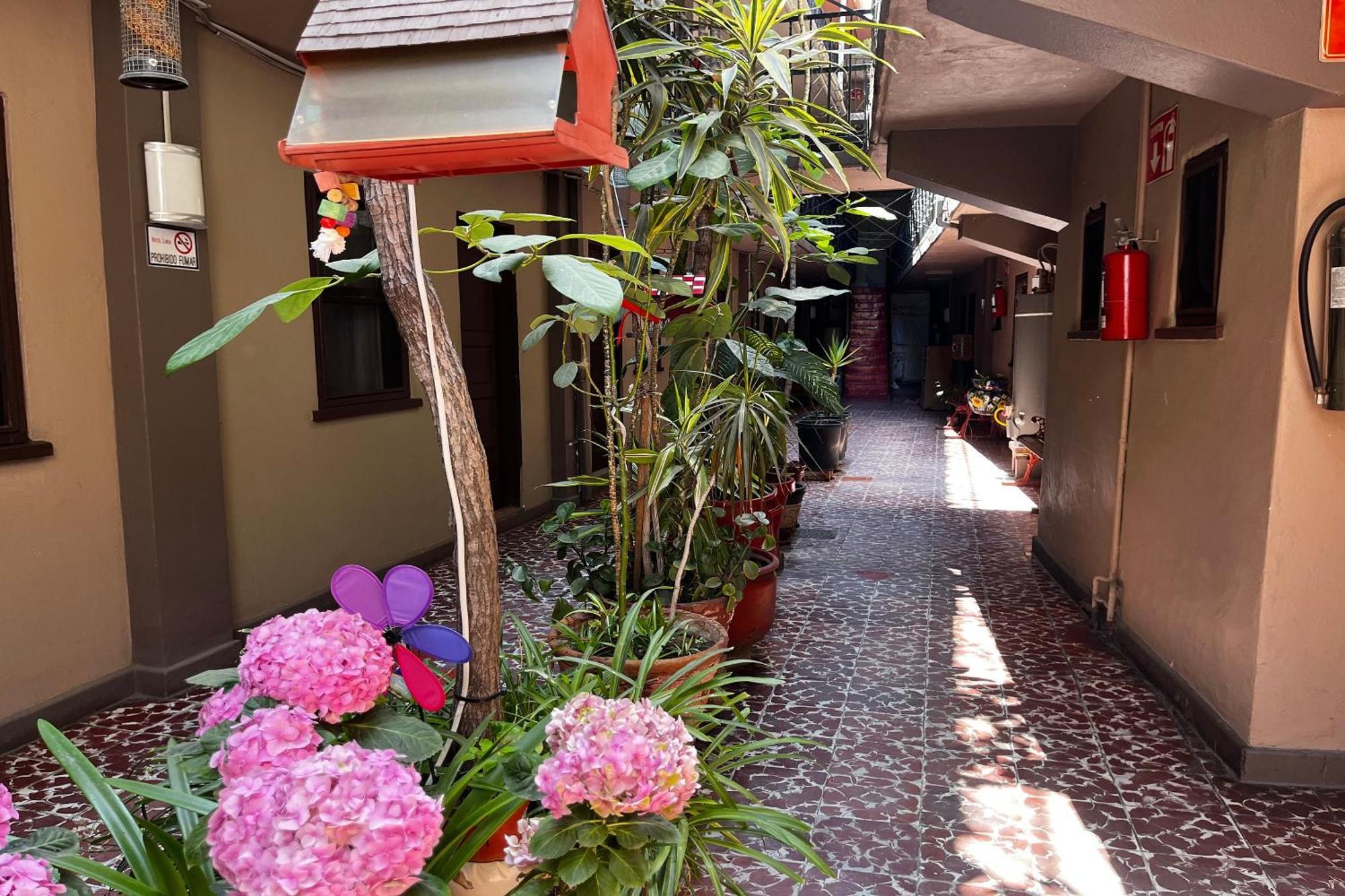 Oyo Hotel Linda 提华纳 外观 照片