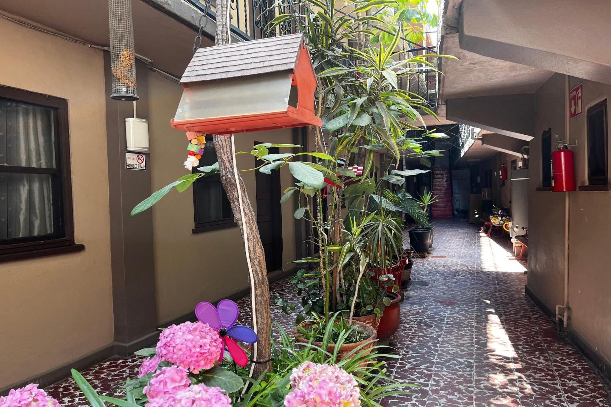 Oyo Hotel Linda 提华纳 外观 照片