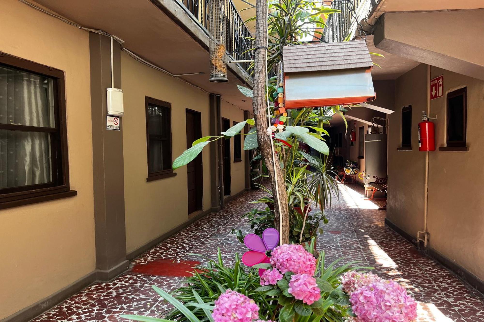 Oyo Hotel Linda 提华纳 外观 照片